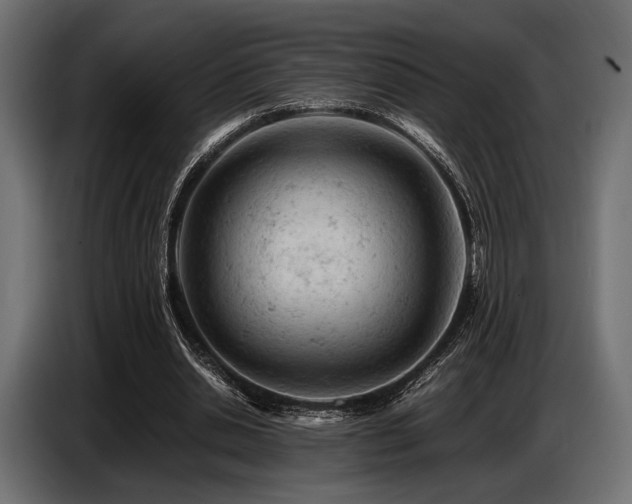 X0000087670438200705041013