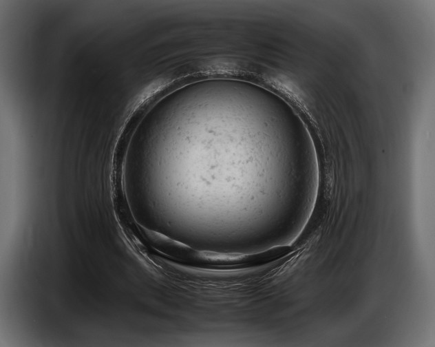 X0000087670439200705041013