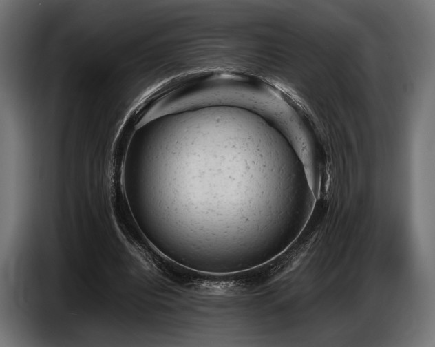 X0000087670440200705041013