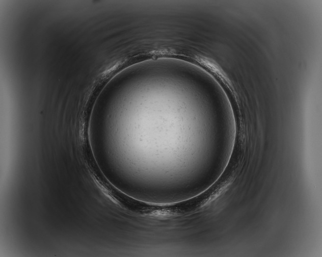 X0000087670441200705041013