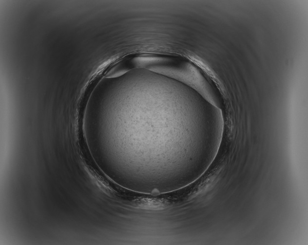 X0000087670442200705041013