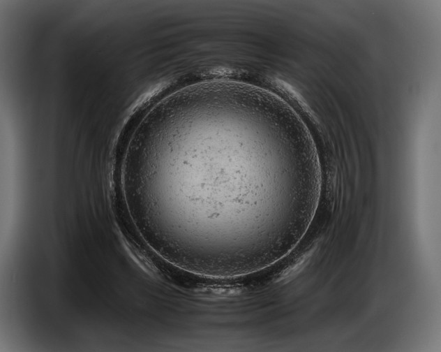 X0000087670443200705041013