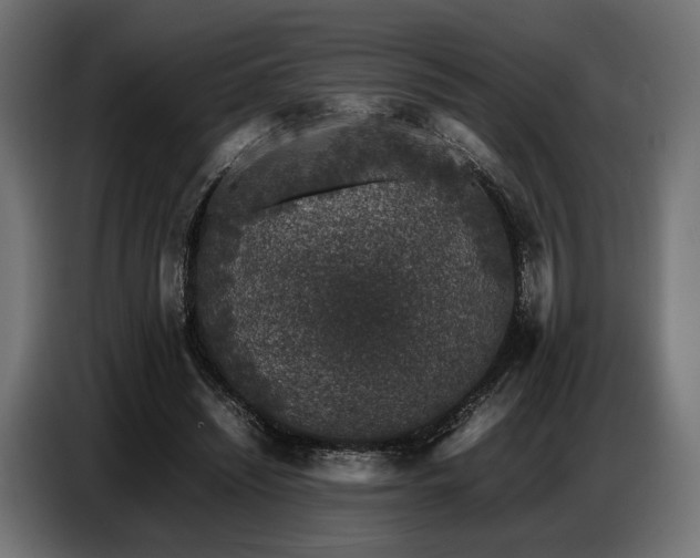 X0000087670444200705041013