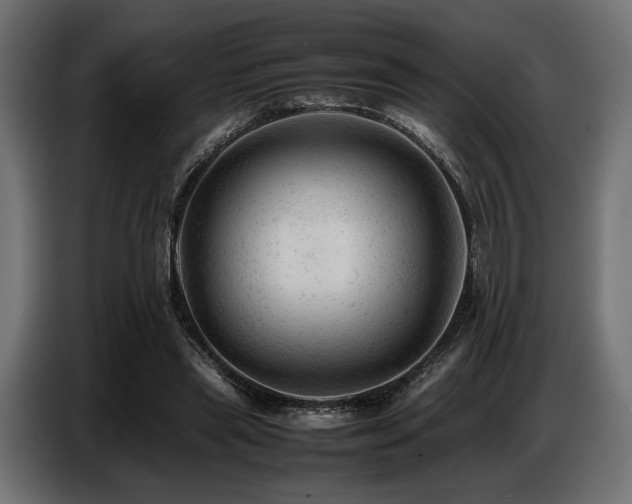 X0000087670445200705041013