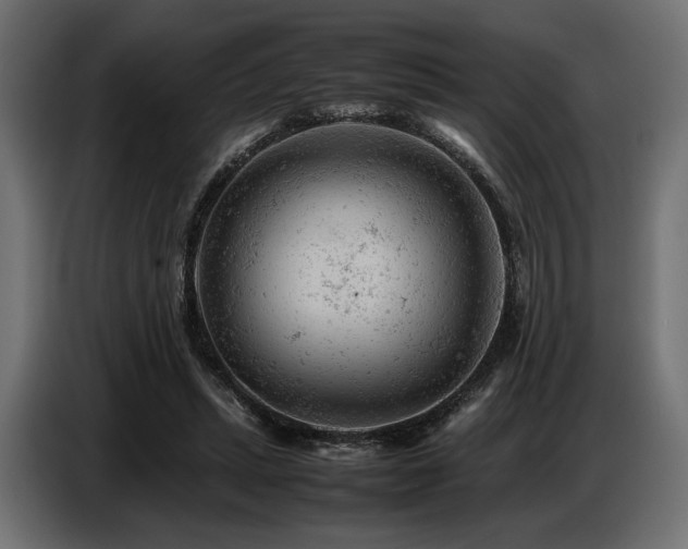 X0000087670447200705041013