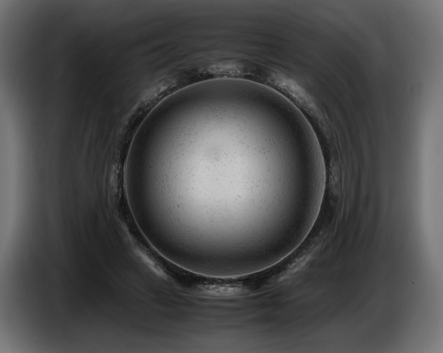 X0000087670449200705041013