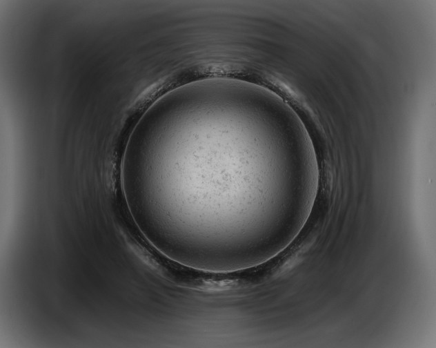 X0000087670450200705041013