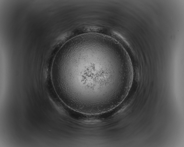 X0000087670451200705041013