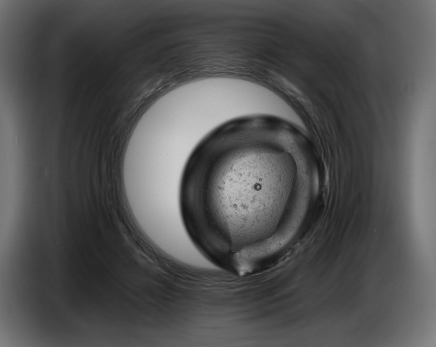 X0000087670452200705041013