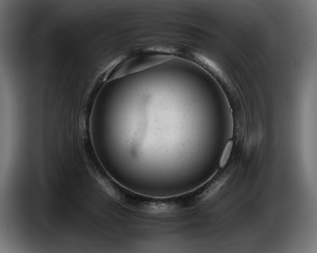 X0000087670453200705041013