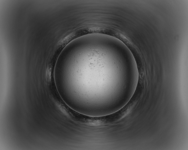 X0000087670454200705041013