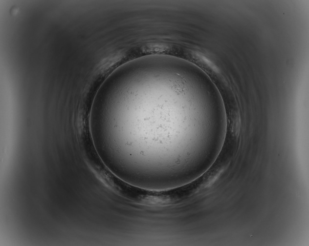 X0000087670455200705041013