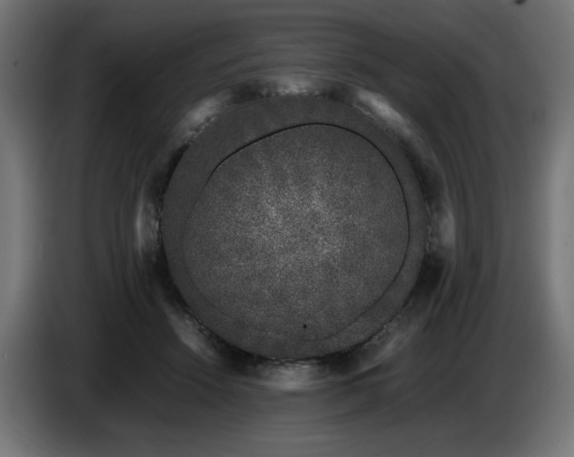 X0000087670456200705041013