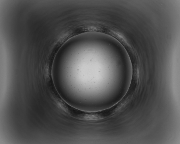 X0000087670457200705041013