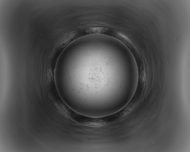 X0000087670459200705041013