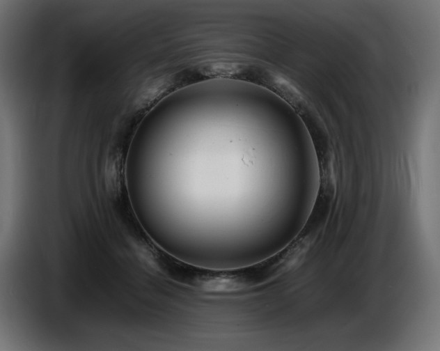 X0000087670460200705041013