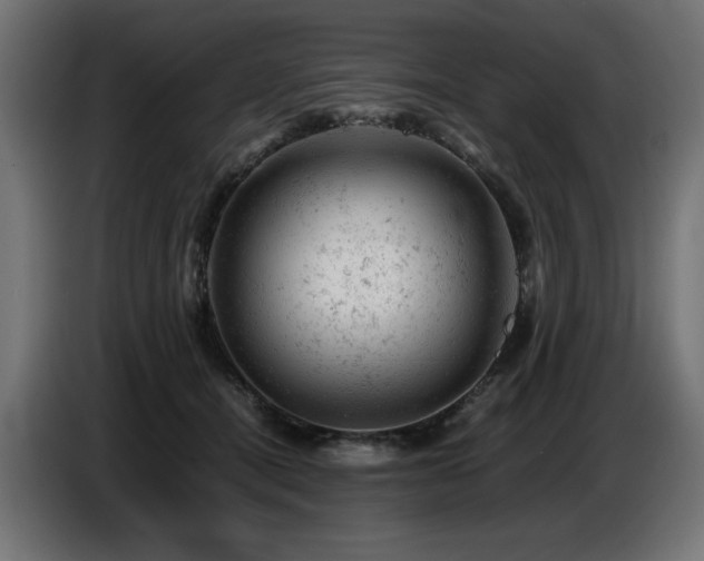 X0000087670464200705041013