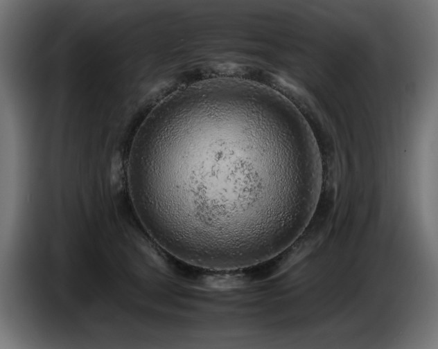 X0000087670465200705041013