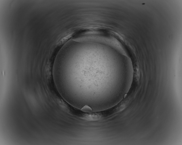 X0000087670466200705041013