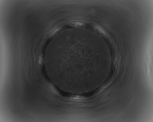 X0000087670467200705041013