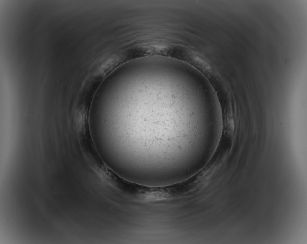 X0000087670468200705041013