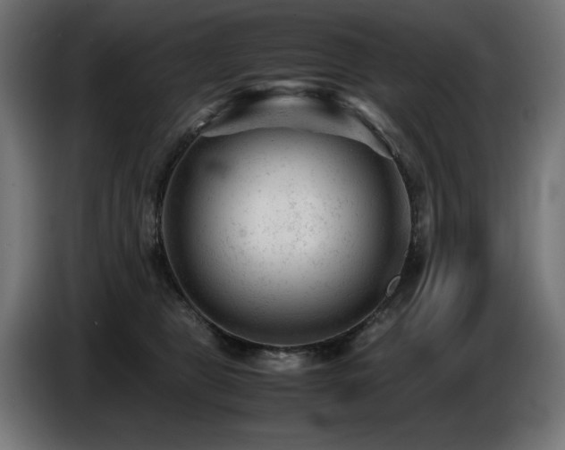 X0000087670469200705041013