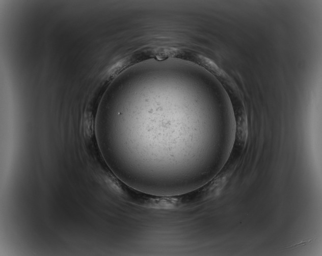 X0000087670474200705041013