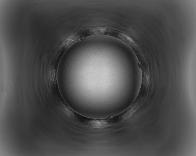 X0000087670477200705041014