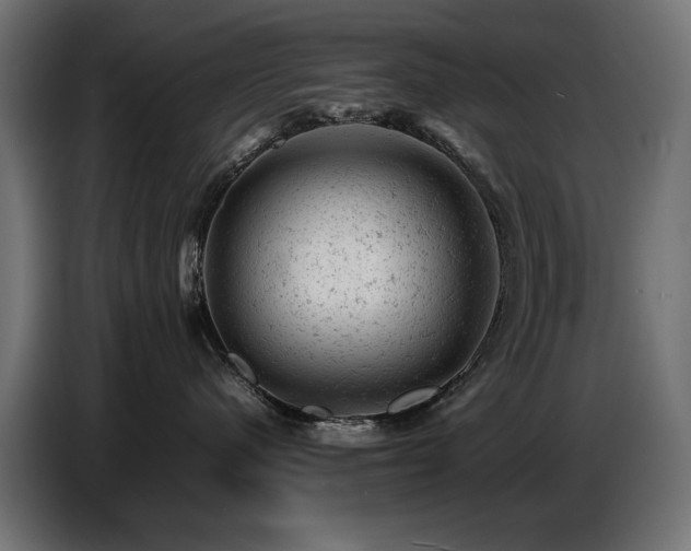 X0000087670480200705041014