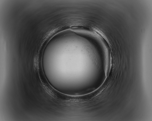 X0000087670482200705041013