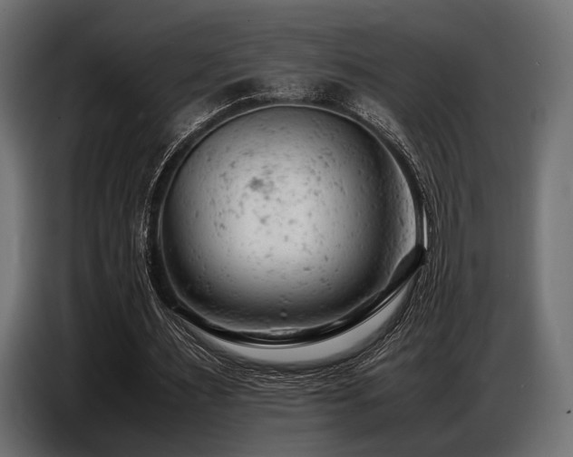 X0000087670483200705041013