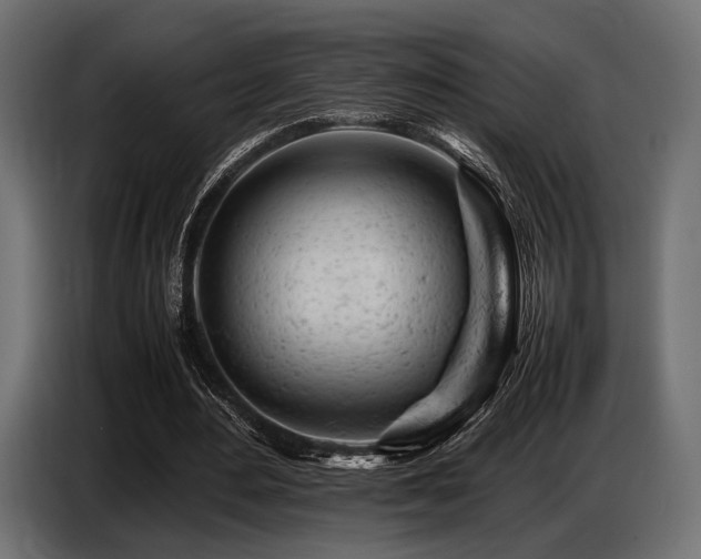 X0000087670484200705041013