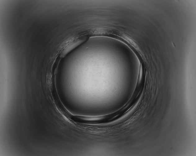 X0000087670485200705041013