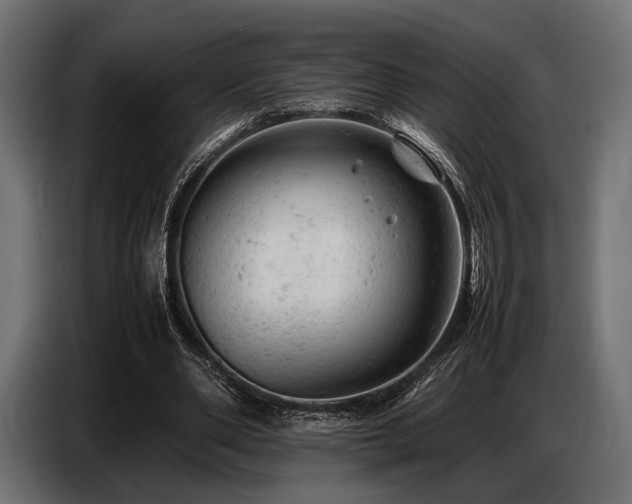 X0000087670486200705041013