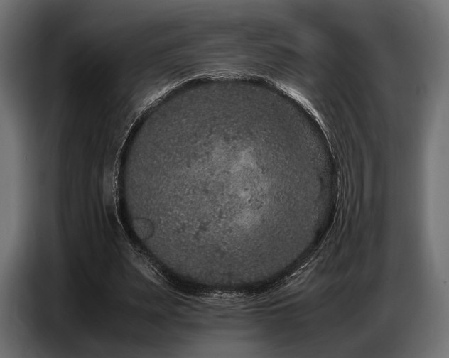 X0000087670487200705041013