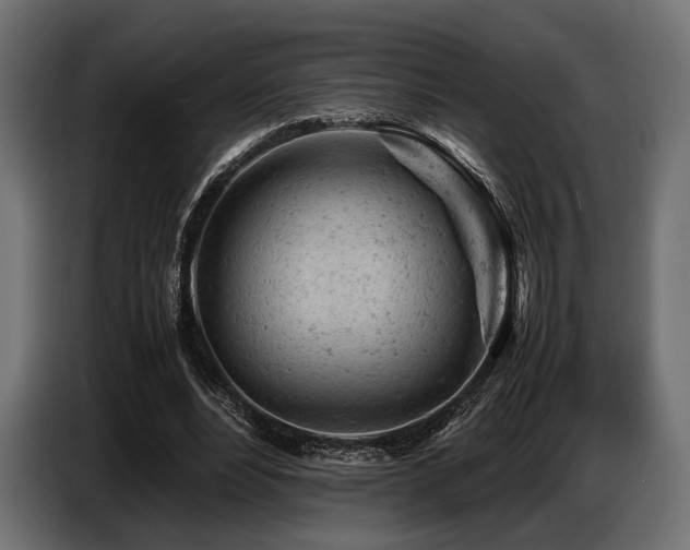 X0000087670488200705041013