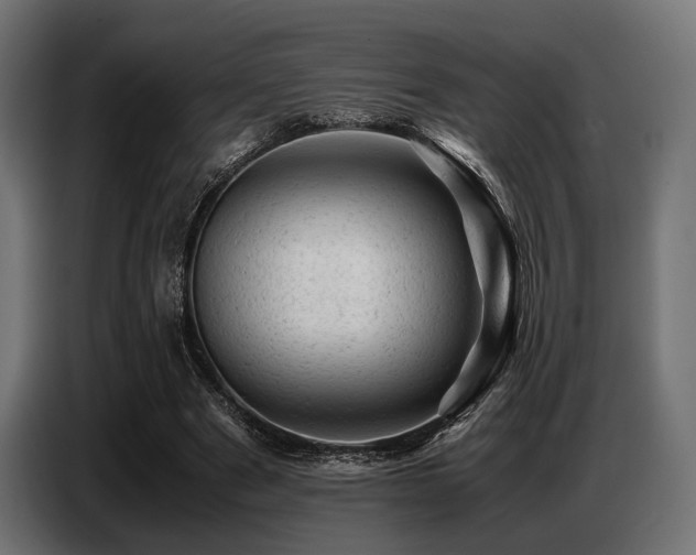 X0000087670489200705041013