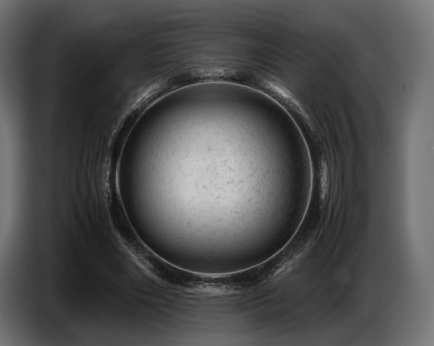 X0000087670490200705041013