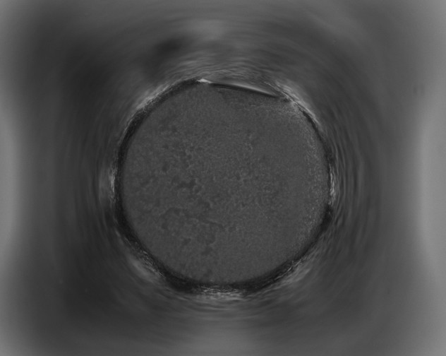 X0000087670491200705041013