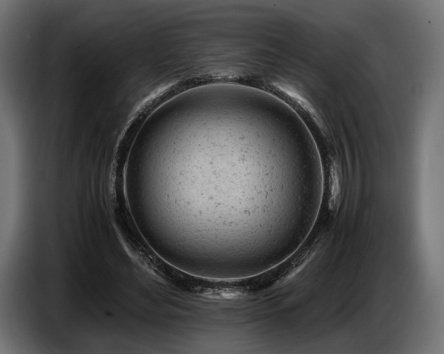 X0000087670492200705041013