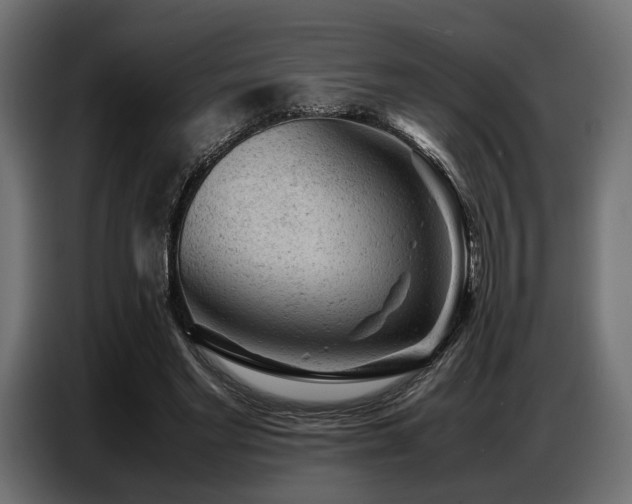 X0000087670493200705041013