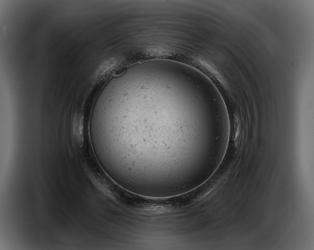 X0000087670494200705041013