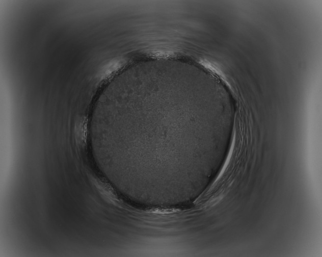 X0000087670495200705041013