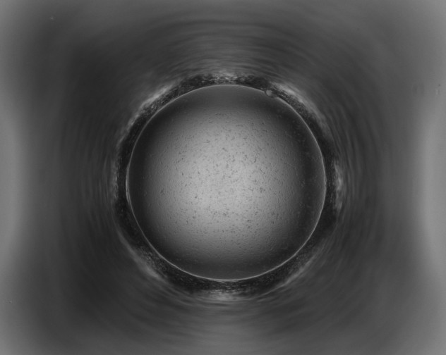 X0000087670496200705041013