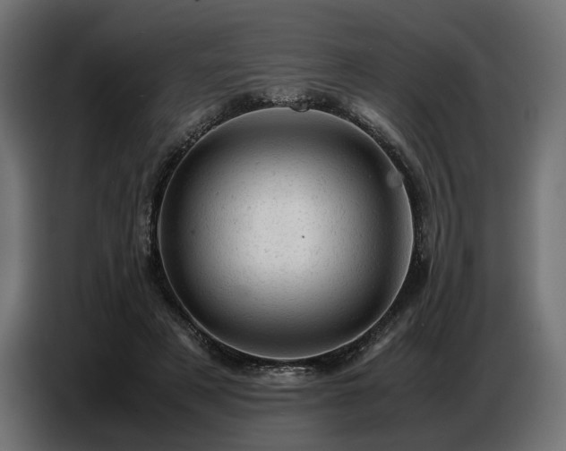 X0000087670497200705041013