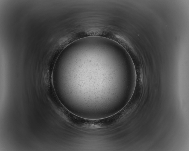 X0000087670498200705041013