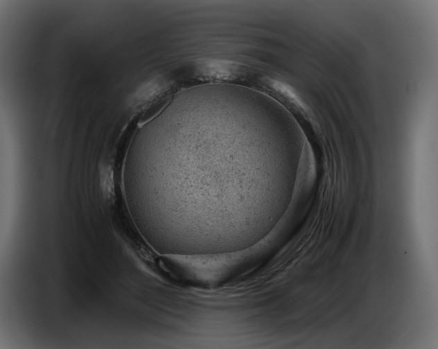 X0000087670500200705041013