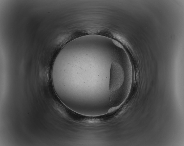 X0000087670501200705041013