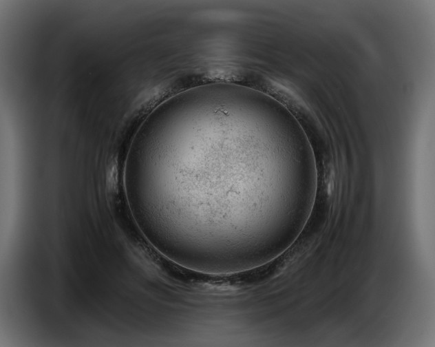 X0000087670502200705041013