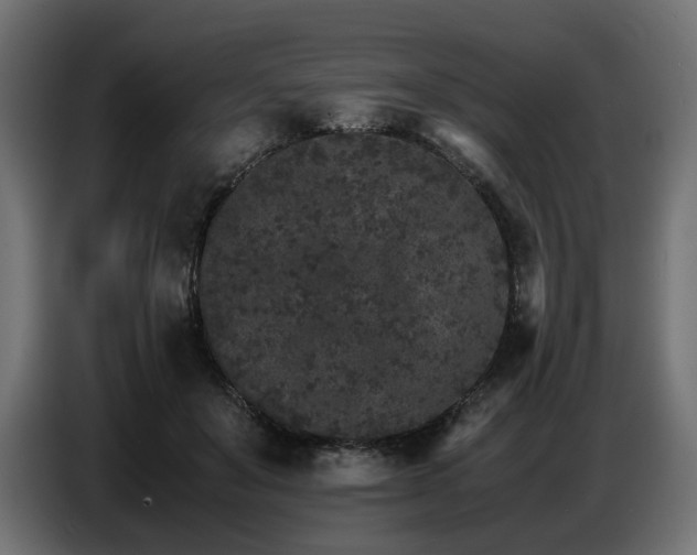 X0000087670503200705041013